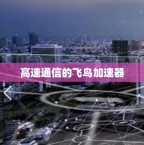高速通信的飞鸟加速器