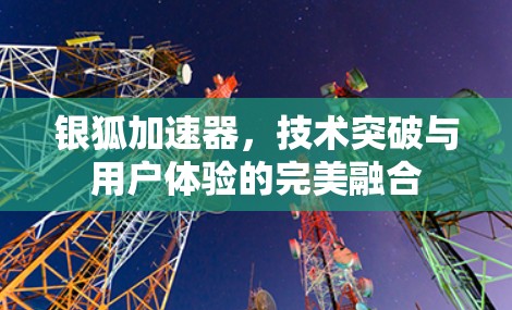 银狐加速器，技术突破与用户体验的完美融合