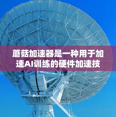蘑菇加速器是一种用于加速AI训练的硬件加速技术，主要服务于深度学习模型的开发和应用。以下是对蘑菇加速器的详细总结