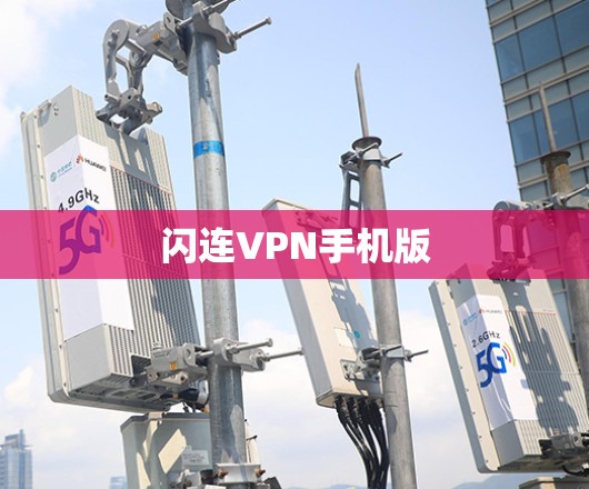 闪连VPN手机版