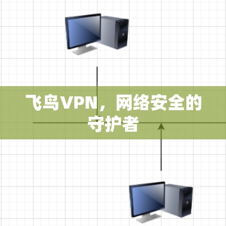 飞鸟VPN，网络安全的守护者