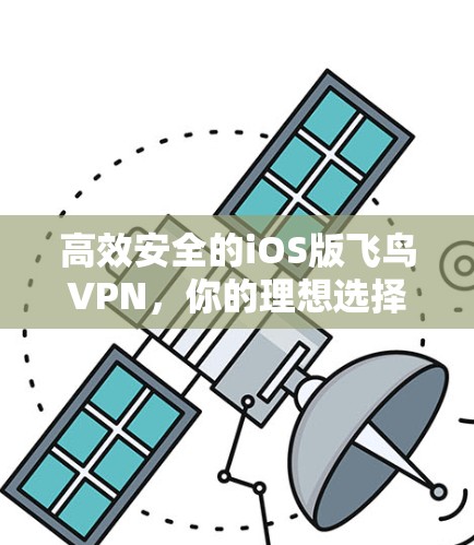 高效安全的iOS版飞鸟VPN，你的理想选择？