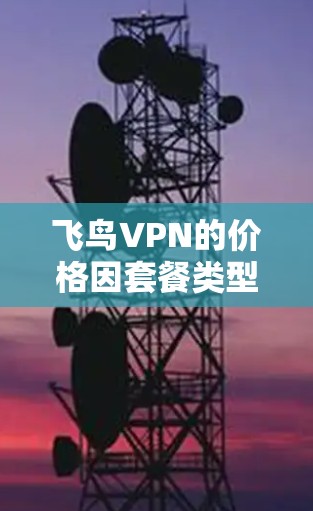 飞鸟VPN的价格因套餐类型和使用频率而异。以下是常见的配置和价格区间