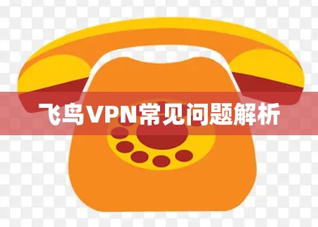 飞鸟VPN常见问题解析