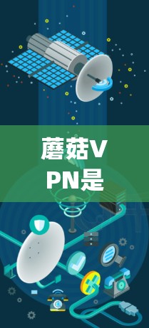 蘑菇VPN是一个知名的VPN服务，提供多种网络选择，包括VPN、流媒体、在线游戏等。它的官方网站是 https:goposter.com/https:goposter.com/