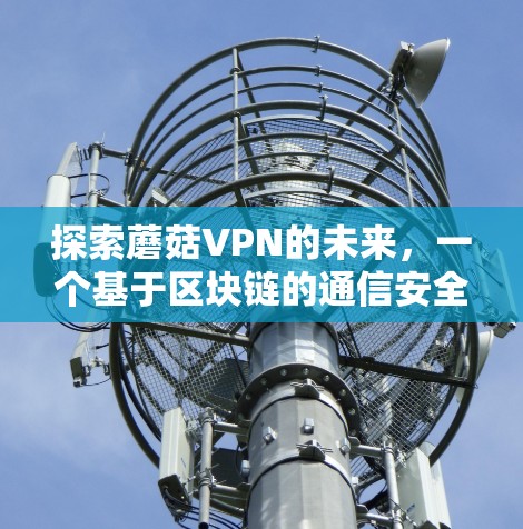 探索蘑菇VPN的未来，一个基于区块链的通信安全新选择