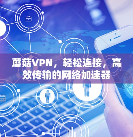 蘑菇VPN，轻松连接，高效传输的网络加速器