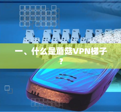 一、什么是蘑菇VPN梯子？