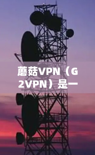 蘑菇VPN（G2VPN）是一款知名的端到端加密VPN服务，提供多种端到端流媒体和实时视频流服务。蘑菇VPN以其可靠的安全性、高效的流量控制和灵活的使用体验而受到广泛好评。以下是对蘑菇VPN的评测