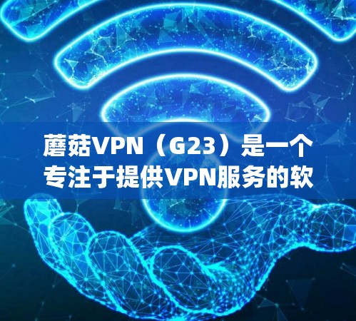 蘑菇VPN（G23）是一个专注于提供VPN服务的软件，主要针对西方国家。蘑菇VPN主要用于加密通信、在线 games、视频会议等领域，旨在保护用户的数据和隐私