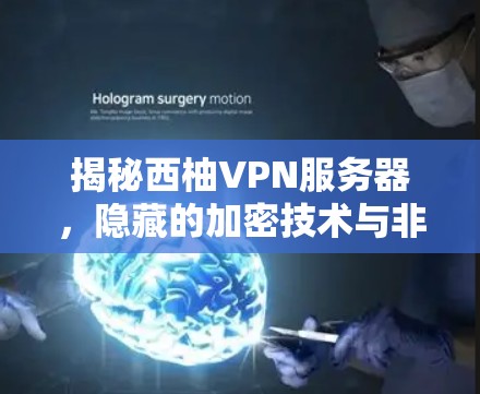 揭秘西柚VPN服务器，隐藏的加密技术与非凡的安全性能
