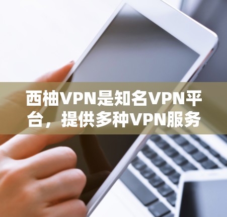 西柚VPN是知名VPN平台，提供多种VPN服务，包括免费版、试用版和付费版。以下是下载西柚VPN官网的步骤说明