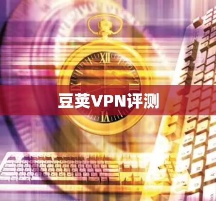 豆荚VPN评测