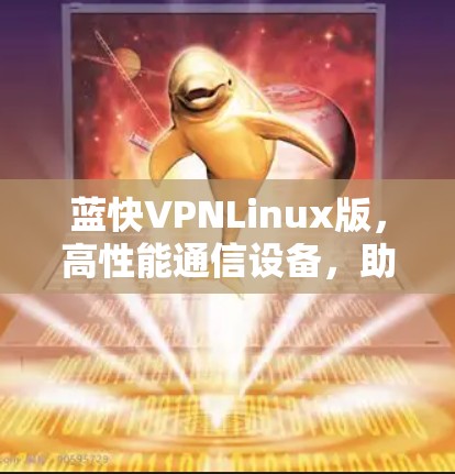 蓝快VPNLinux版，高性能通信设备，助力现代网络建设