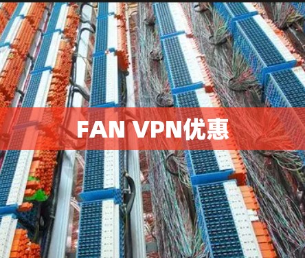 FAN VPN优惠