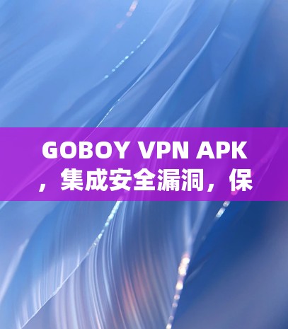 GOBOY VPN APK，集成安全漏洞，保障您的数据安全