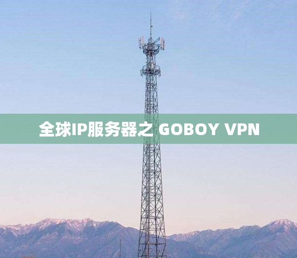 全球IP服务器之 GOBOY VPN