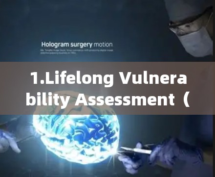 1.Lifelong Vulnerability Assessment（LVCHA）