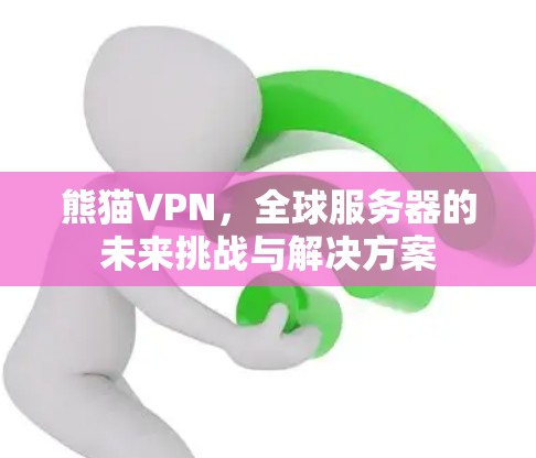 熊猫VPN，全球服务器的未来挑战与解决方案