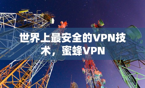 世界上最安全的VPN技术，蜜蜂VPN