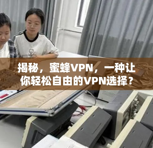 揭秘，蜜蜂VPN，一种让你轻松自由的VPN选择？