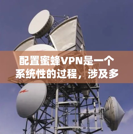 配置蜜蜂VPN是一个系统性的过程，涉及多个步骤和注意事项。以下是一个详细的步骤指南
