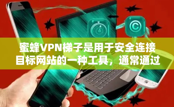 蜜蜂VPN梯子是用于安全连接目标网站的一种工具，通常通过特定的配置和设置来控制连接方式、加密方式和连接速度。以下是对蜜蜂VPN梯子的详细分析和建议
