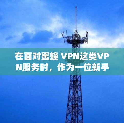 在面对蜜蜂 VPN这类VPN服务时，作为一位新手，我需要系统地进行分析和选择。以下是基于我的思考和分析，总结出的推荐