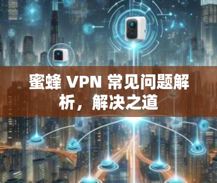 蜜蜂 VPN 常见问题解析，解决之道