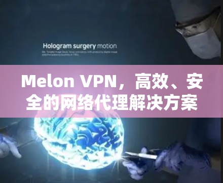 Melon VPN，高效、安全的网络代理解决方案