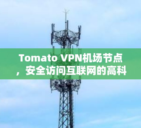 Tomato VPN机场节点，安全访问互联网的高科技解决方案
