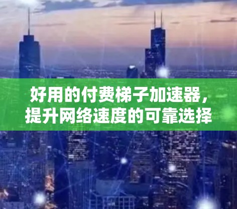 好用的付费梯子加速器,提升网络速度的可靠选择 好用的付费梯子加速器,提升网络速度的可靠选择