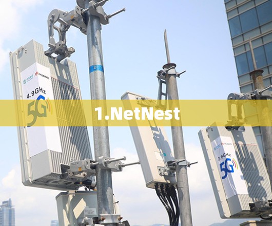 1.NetNest 1.NetNest