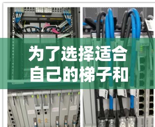 为了选择适合自己的梯子和加速器,以下是一些详细的分析和建议 为了选择适合自己的梯子和加速器,以下是一些详细的分析和建议