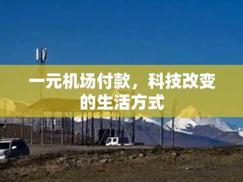 一元机场付款,科技改变的生活方式 一元机场付款,科技改变的生活方式
