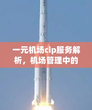 一元机场cip服务解析,机场管理中的关键技术 一元机场cip服务解析,机场管理中的关键技术