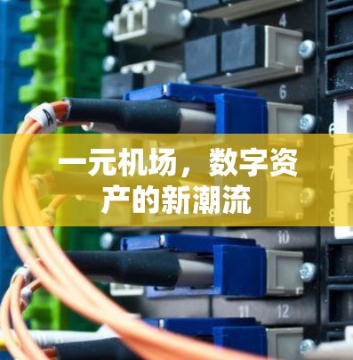 一元机场,数字资产的新潮流 一元机场,数字资产的新潮流