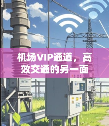机场VIP通道,高效交通的另一面 机场VIP通道,高效交通的另一面