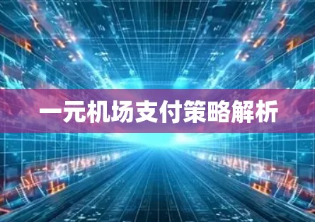 一元机场支付策略解析 一元机场支付策略解析