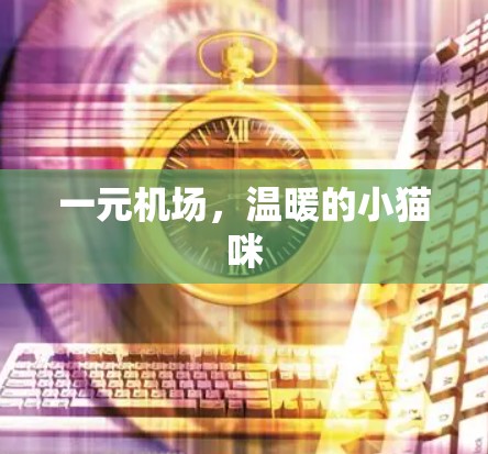 一元机场,温暖的小猫咪 一元机场,温暖的小猫咪