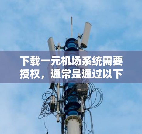 下载一元机场系统需要授权,通常是通过以下方式进行的 下载一元机场系统需要授权,通常是通过以下方式进行的