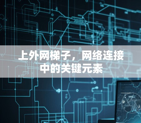 上外网梯子,网络连接中的关键元素 上外网梯子,网络连接中的关键元素
