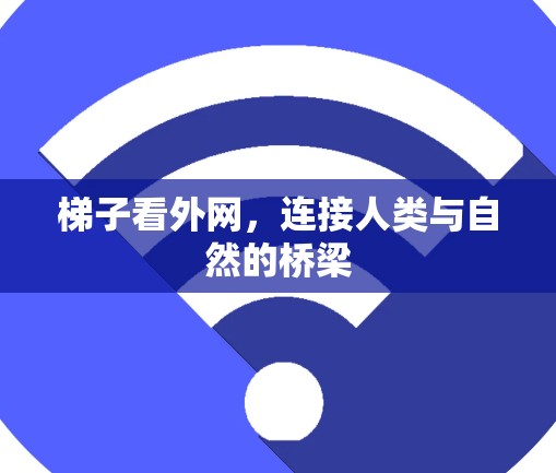 梯子看外网，连接人类与自然的桥梁