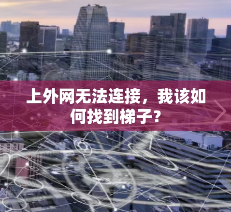 上外网无法连接,我该如何找到梯子? 上外网无法连接,我该如何找到梯子?