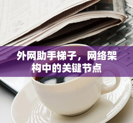 外网助手梯子,网络架构中的关键节点 外网助手梯子,网络架构中的关键节点