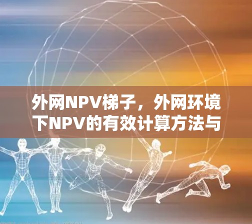 外网NPV梯子，外网环境下NPV的有效计算方法与应用解析