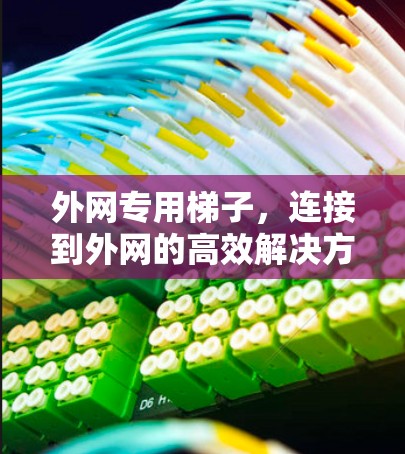 外网专用梯子,连接到外网的高效解决方案 外网专用梯子,连接到外网的高效解决方案