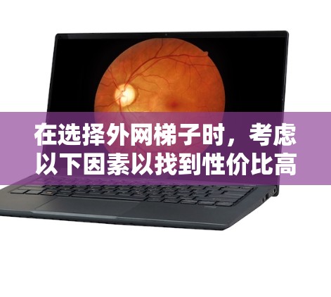 在选择外网梯子时,考虑以下因素以找到性价比高的产品 在选择外网梯子时,考虑以下因素以找到性价比高的产品