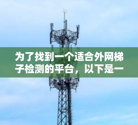 为了找到一个适合外网梯子检测的平台，以下是一些步骤性的建议