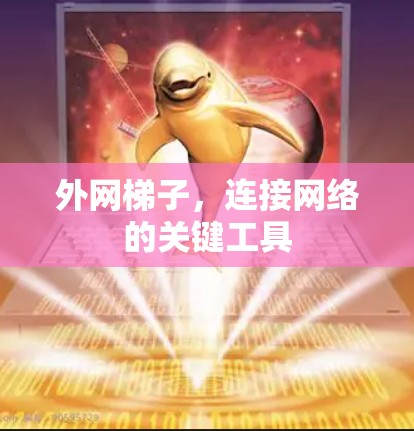外网梯子,连接网络的关键工具 外网梯子,连接网络的关键工具